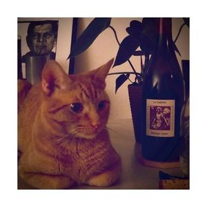 Meet your Posher, Jacqueline